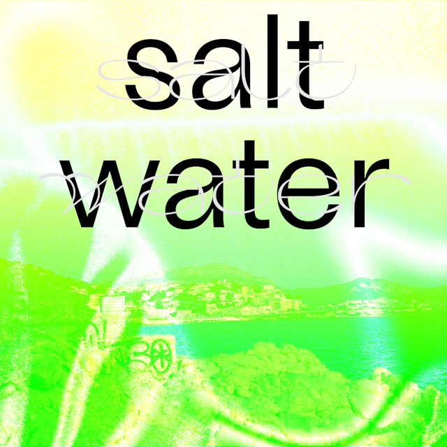 Imatge del programa salt-water